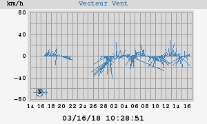 Wind Vector